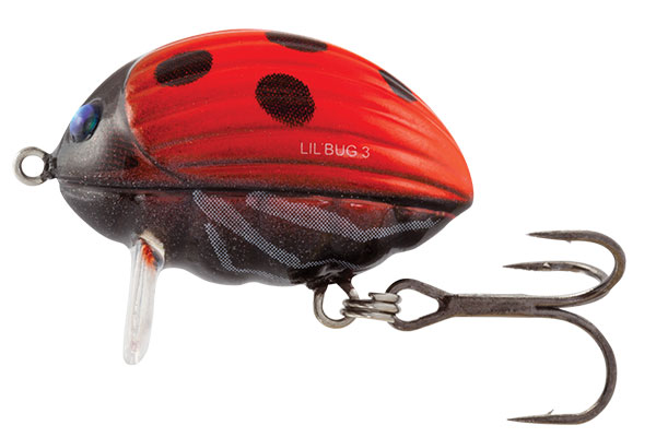 Lil' Bug FLO 3cm LADYBIRD 