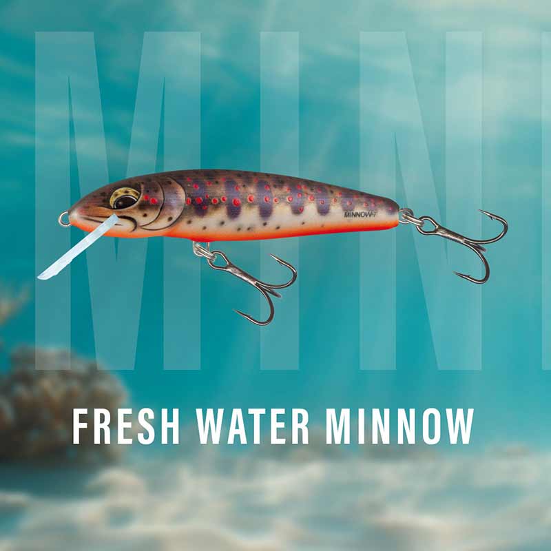 Minnow Sinking 7cm Fresh Water Minnow