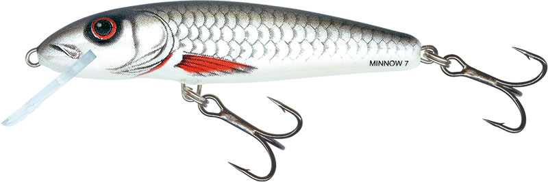 Minnow FLO 5cm DACE