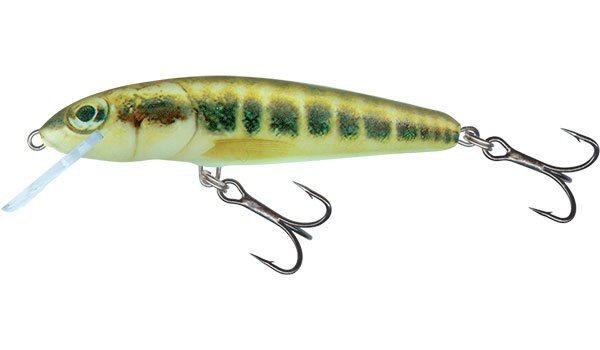 Minnow FLO 5cm MINNOW