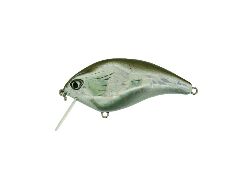 F Crank SR #08 Silver Bait