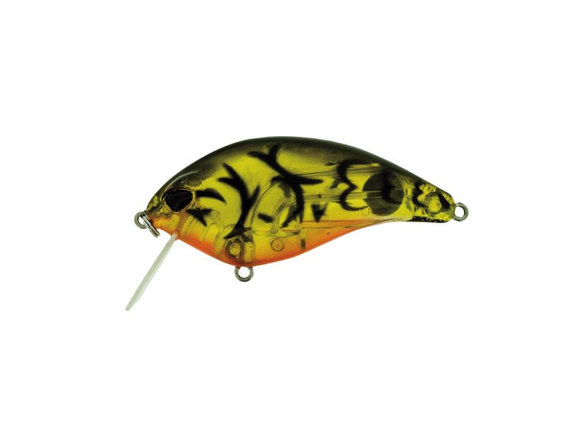 F Crank SR #05 Alqueva Craw