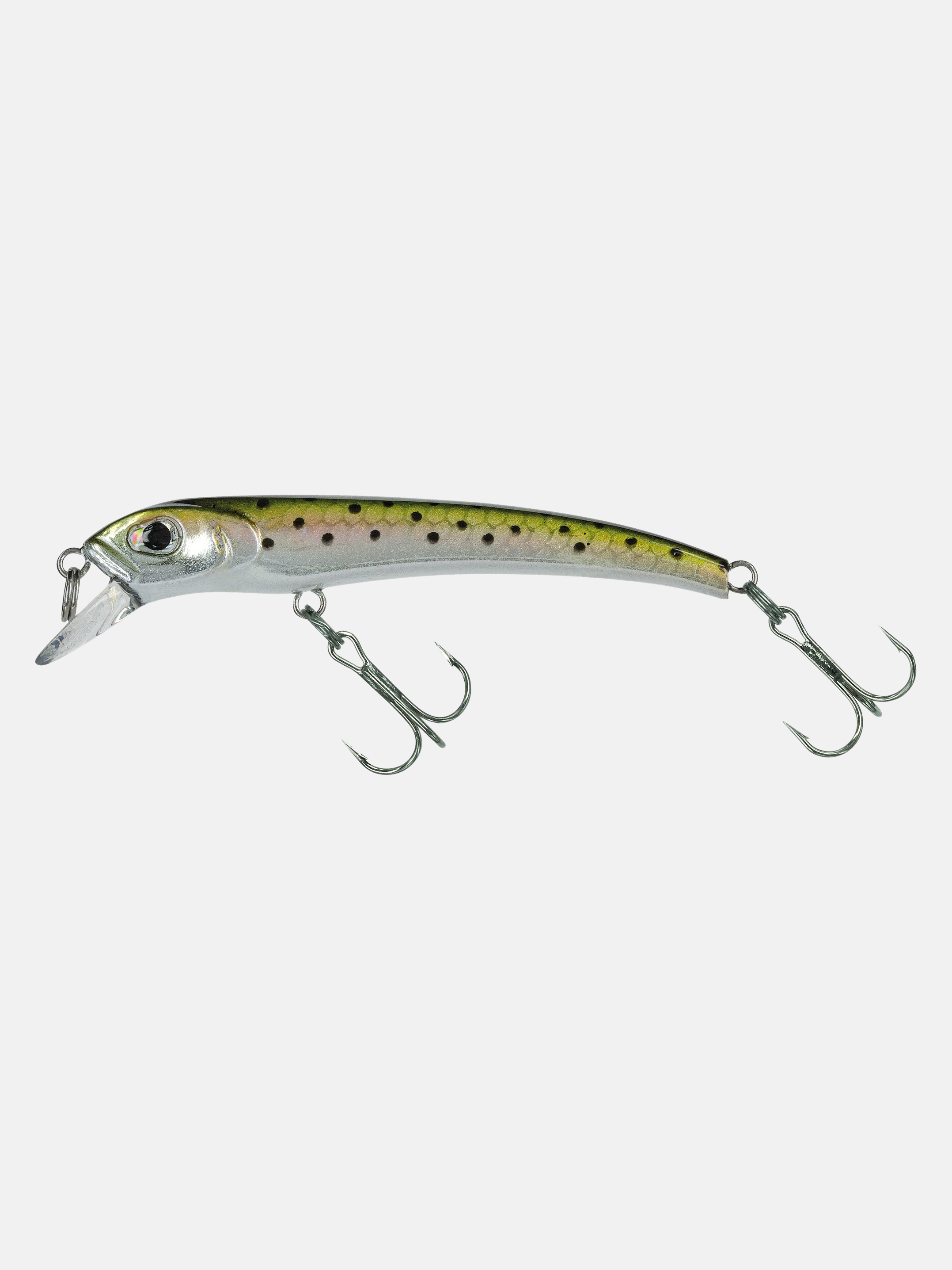 Audace S 55 #229 MX Trout