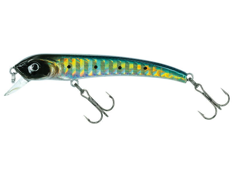 Audace 55 S #SW19 Real Sarda