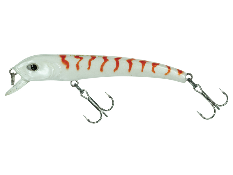 Audace 65 S #211 White Orange