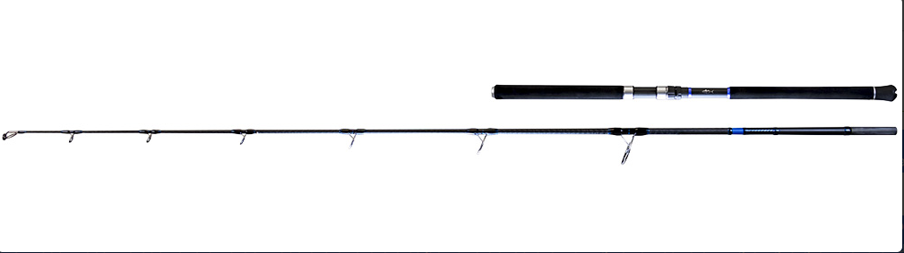 SHOOTER BLUE FIN 2,45 MT 50-180GR PE8