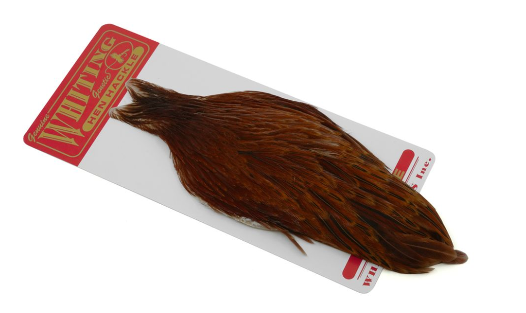 HEN CAPE BROWN
