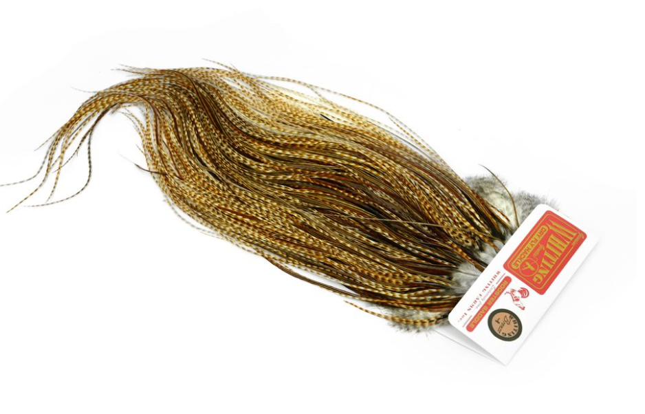 BRONZE SADDLE BARRED MEDIUM GINGER 