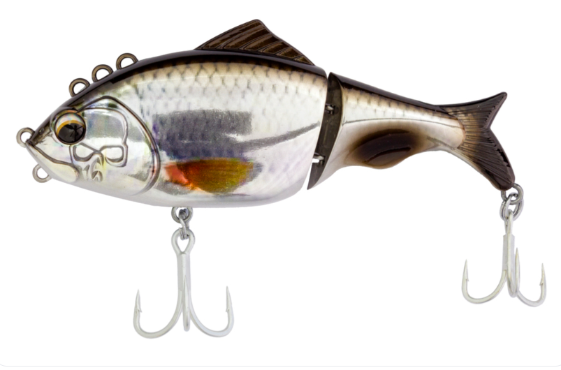 FOCUS 130MM 40GR SILVER ROACH