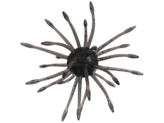 YAM.TO UNI YAM-UNI-021 COL. BLACK W/LG BLUE FLK