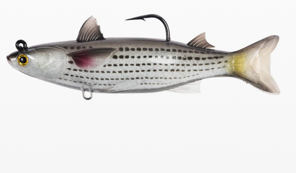 LIVETARGET SWIMBAIT MULLET/MULET SIZE 5 1/2" 