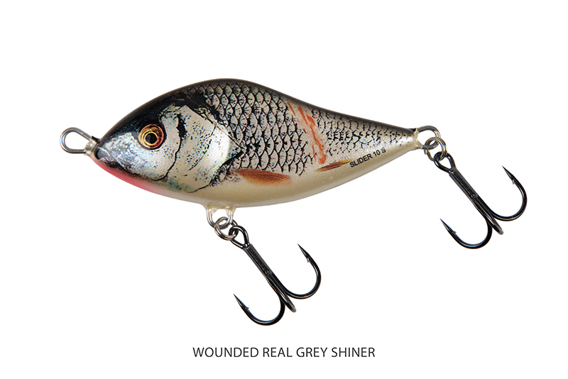 Slider 5cm Sinking Wounded Real Grey Shiner