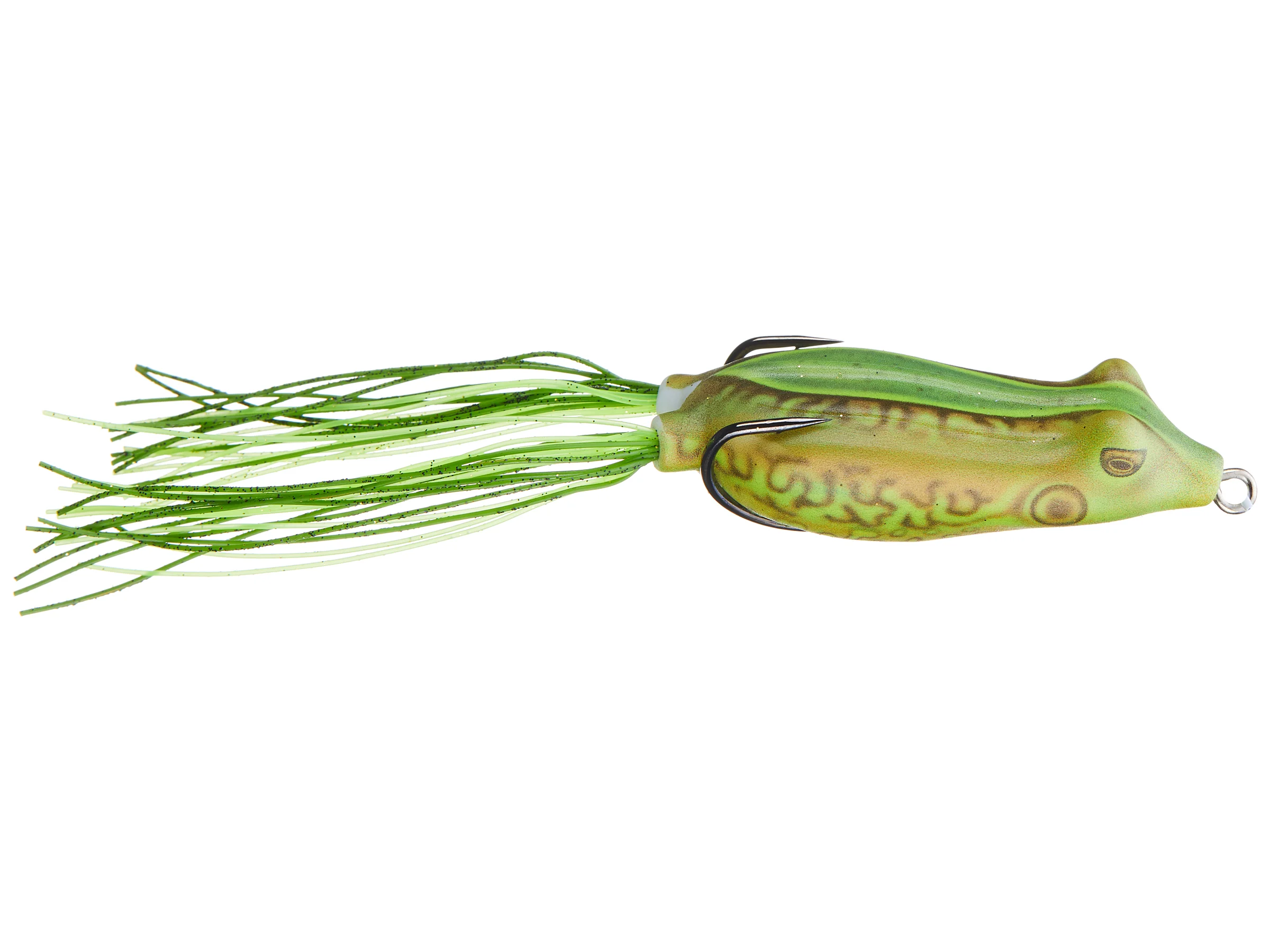 Phat Frog Green Pumpkin