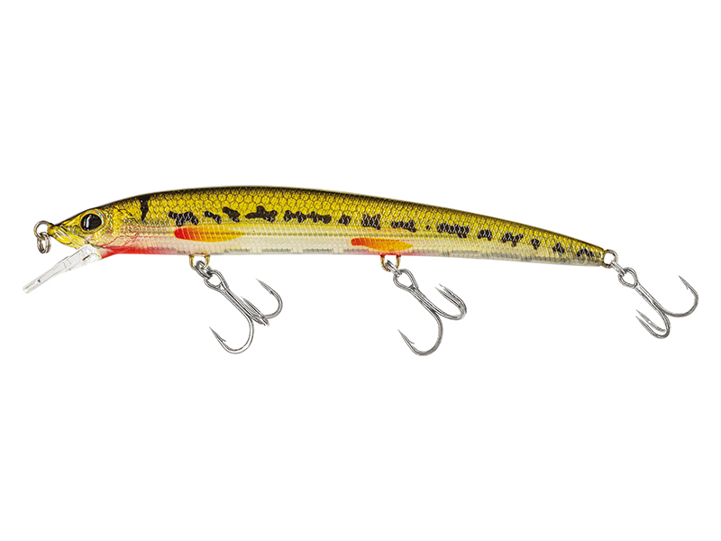 Molix Finder Jerk EVO 110 SP #177 Valtron