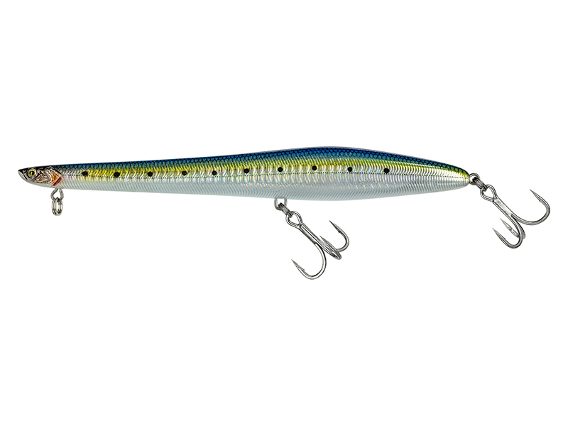 Pencil 185 Rattlin'  F  #SW19 Real Sarda