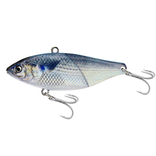 MORE KEEN 02 – 38gr - REAL MULLET (BORA)