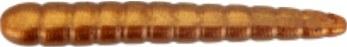 KAIMAN 2" 31-PEARL BROWN -B.TA 8