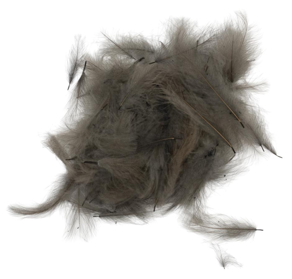 CDC Feathers Super Select 1 Gram - 15 - Dun