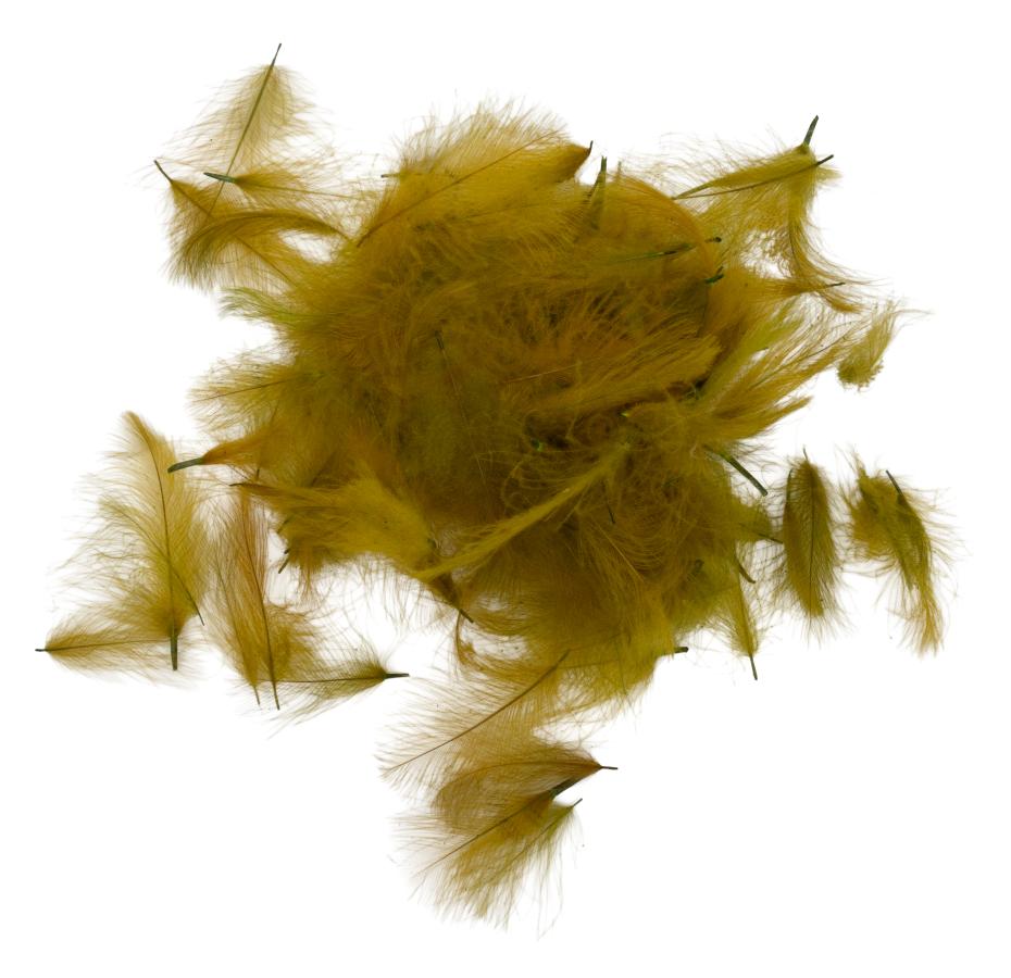 CDC Feathers Super Select 1 Gram - 22 - Pale Olive