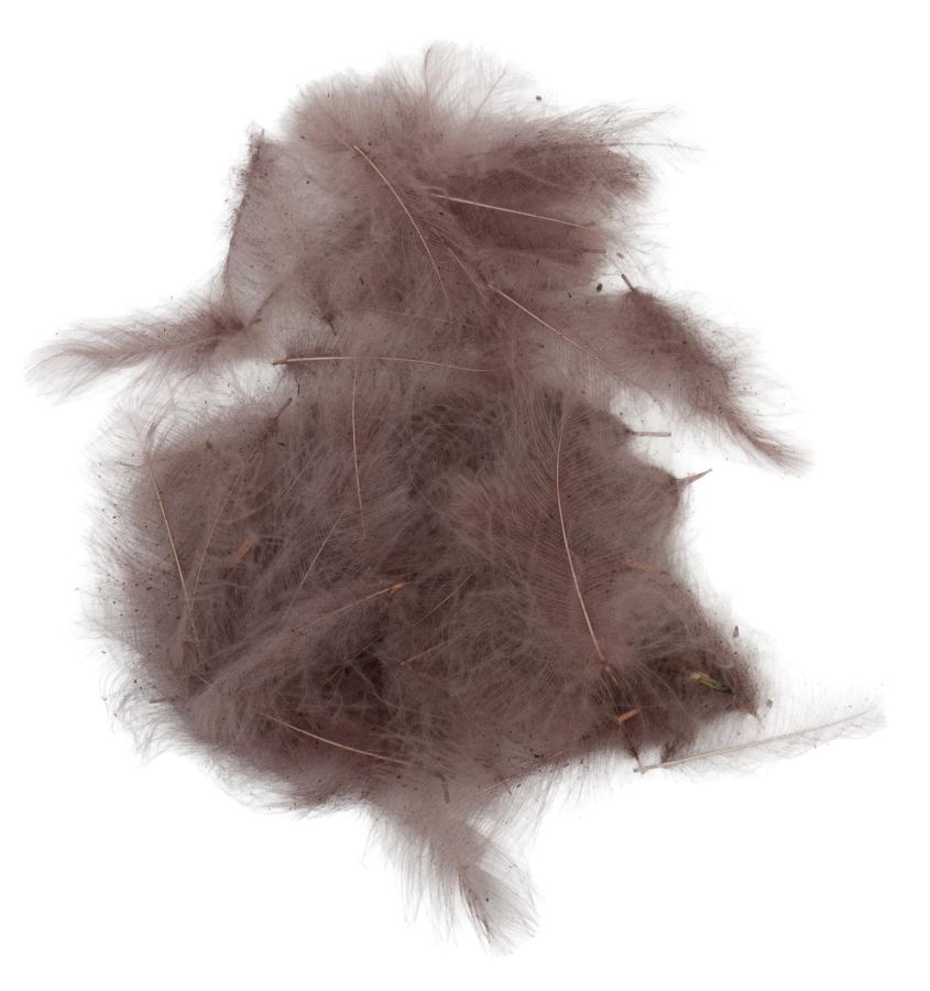 CDC Feathers Super Select 100% Biologically Dyed 1 Gram - 05 - Soldanella