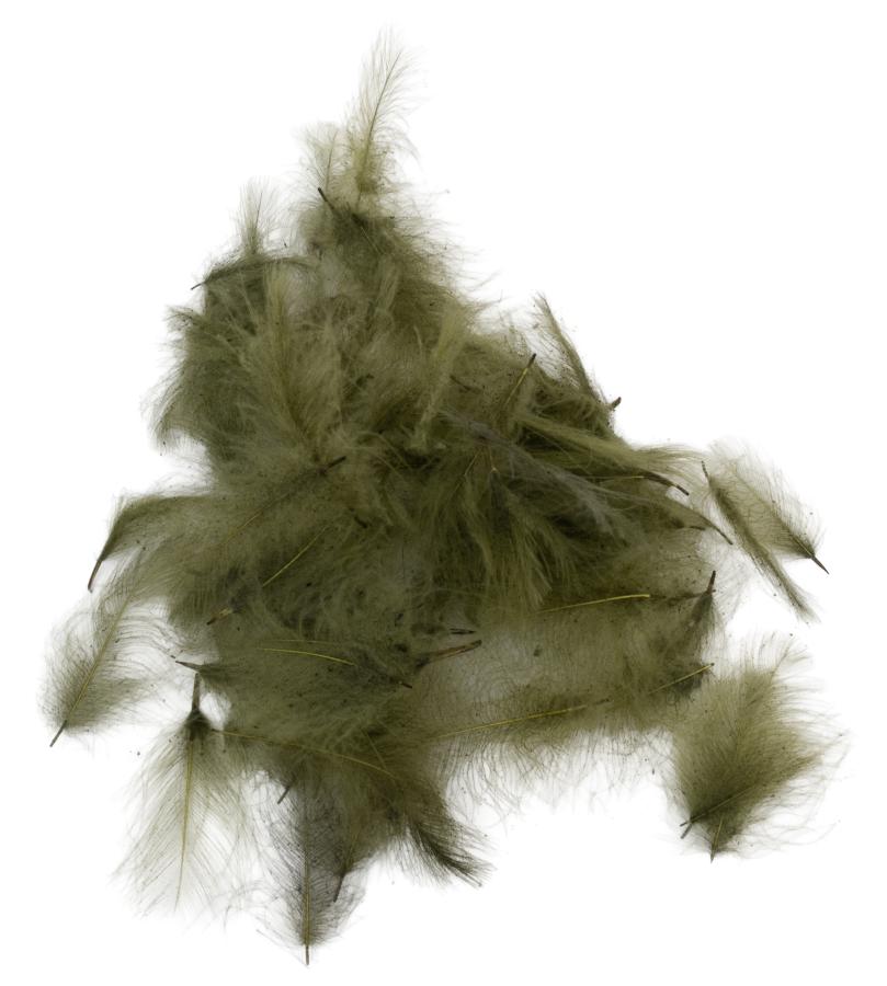CDC Feathers Super Select 100% Biologically Dyed 1 Gram - 15 - Sage
