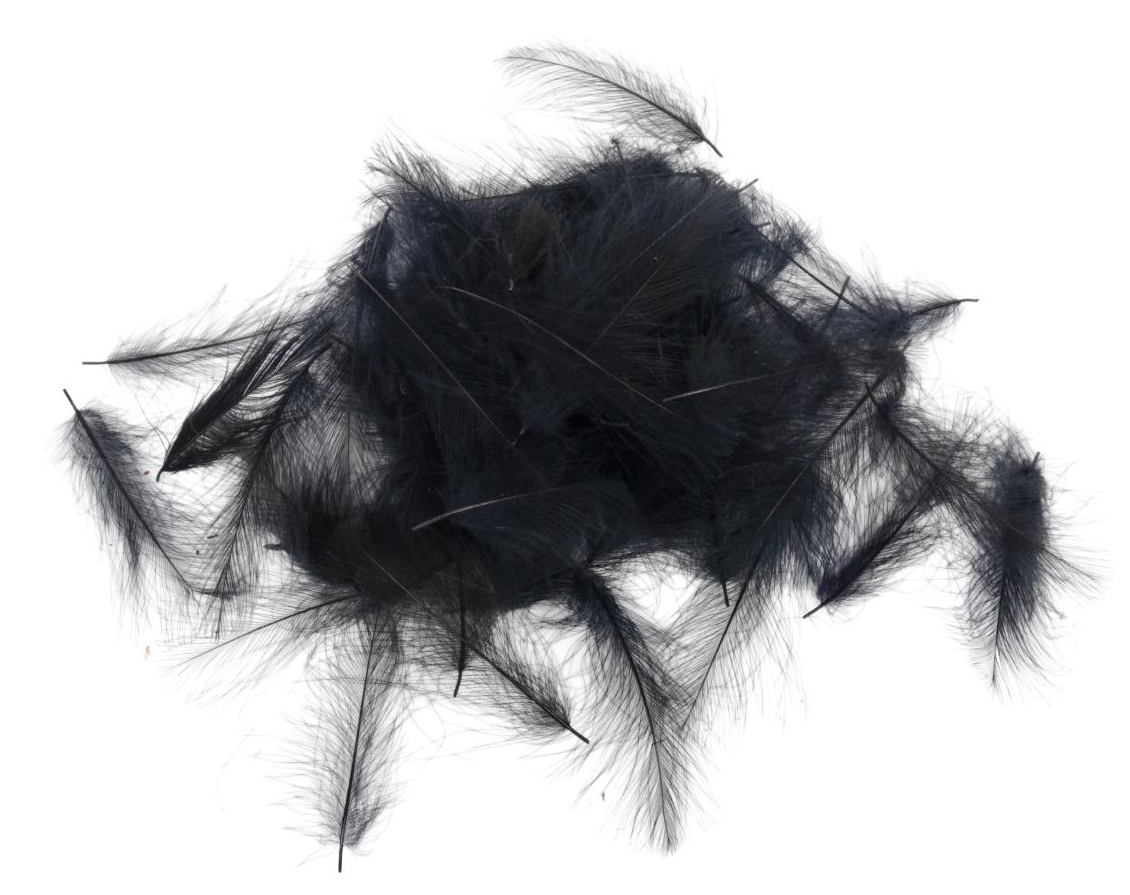 CDC Feathers Super Select 1 Gram - 33 - Black