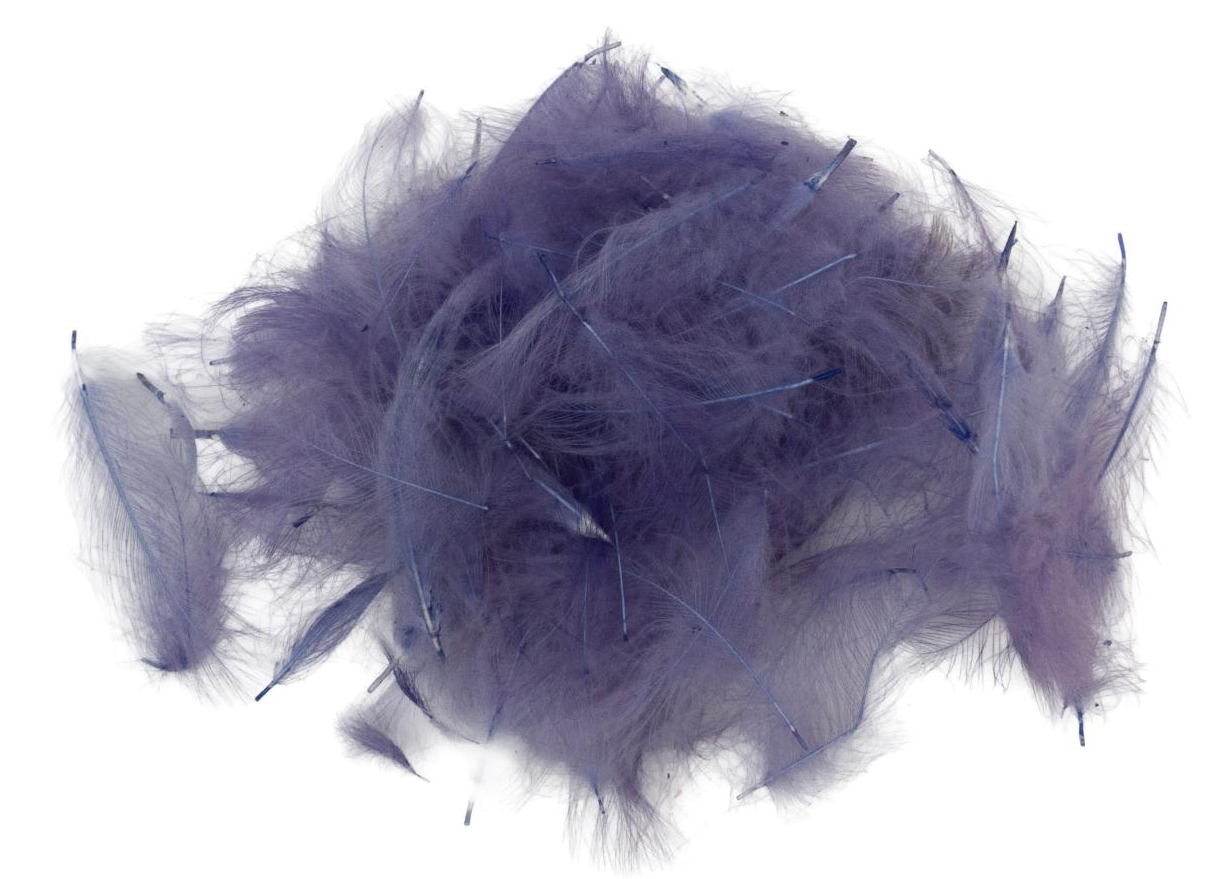 SwissCDC CDC Feathers Standard 1 Gram-32-Violet
