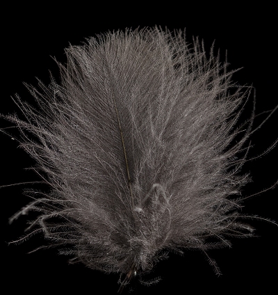 CDC Feathers Super Select 1 Gram - 16 - Dark Dun