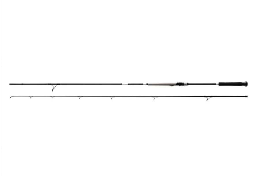 BASSTERRA XT+ SHORE JIGGING 9'6''  20-80GR