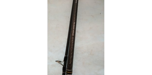 PALMS SHORE GUN EVOLV 10' 30-100GR 