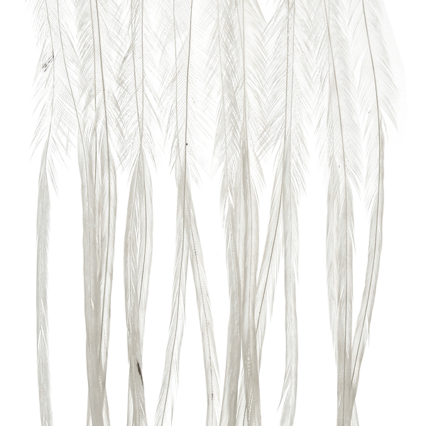 Piume di Gallo Selezionate Whiting Size 16 White