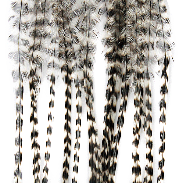 Piume di Gallo Selezionate Whiting Size 14 Grizzly 