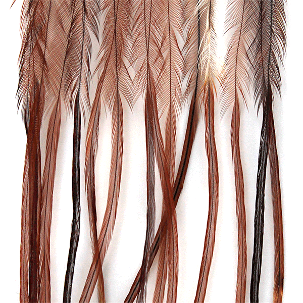Piume di Gallo Selezionate Whiting Size 14 Brown