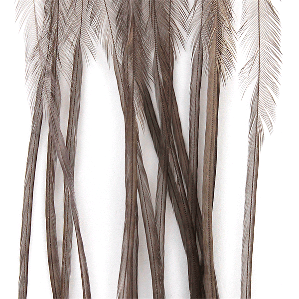 Piume di Gallo Selezionate Whiting Size 12 Dark Dun 