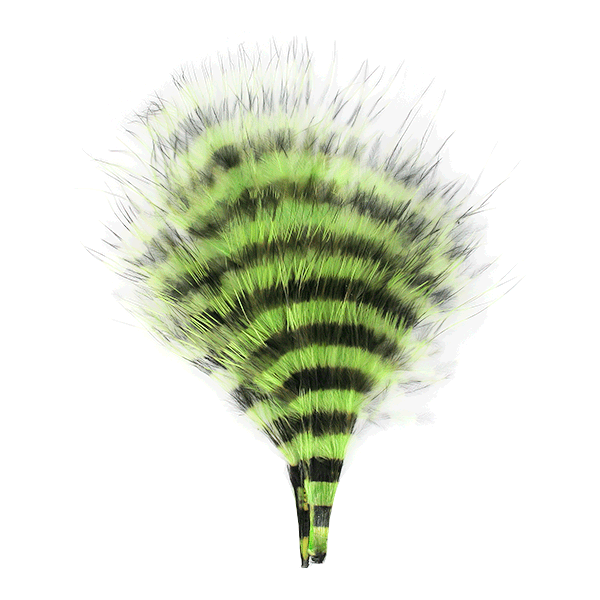 Barred Marabou - Chartreuse/Barred Black