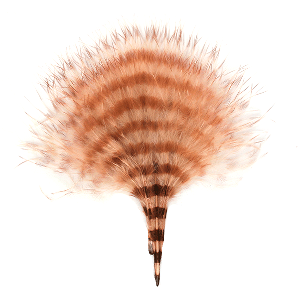 Barred Marabou - Tan/Barred Brown