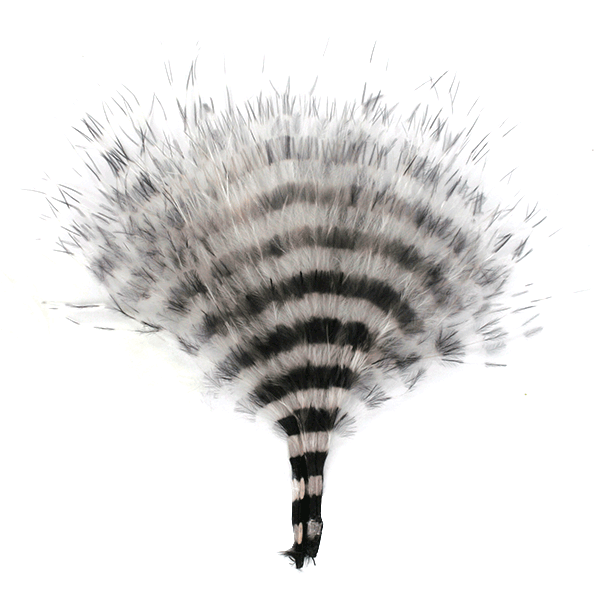 Barred Marabou - White/Barred Black 