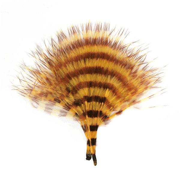 Barred Marabou - Yellow/Barred Brown