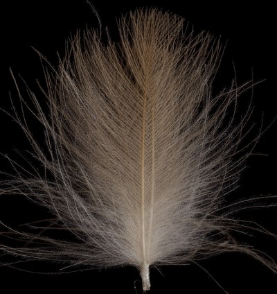 CDC Feathers Super Select 1 Gram - 05 - Khaki Campell