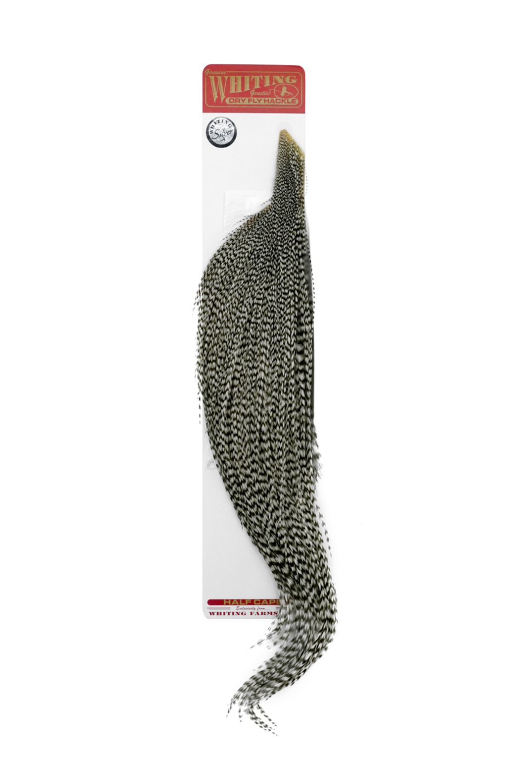 Silver 1/2 Cape Grizzly